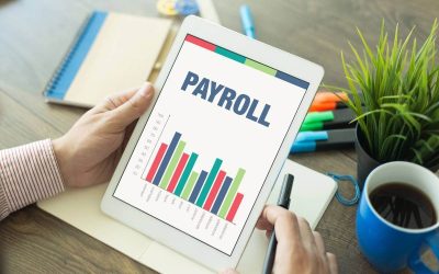 How to Choose Payroll Software for Your Hendersonville Small Business